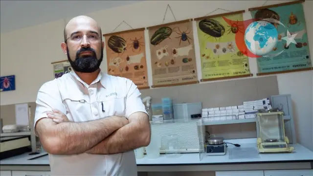 Kırım Kongo Kanamalı Ateşi ve Keneler: Bilinmesi Gerekenler
