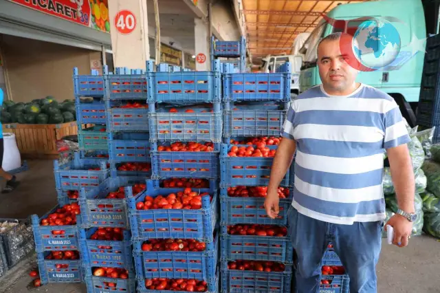 Kahramanmaraş'ta Domates Krizi: Düşük Fiyatlar, Azalan Talep