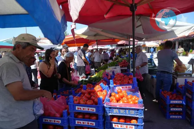 Erzincan'da Yetişen Domatesler Bölge Mutfaklarına Renk Katıyor