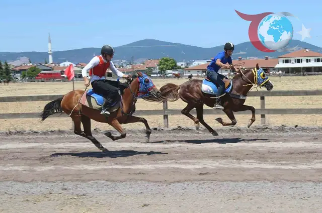 Gölcük'te Nefes Kesen Geleneksel Rahvan At Yarışları: Kazananlar Belli Oldu!