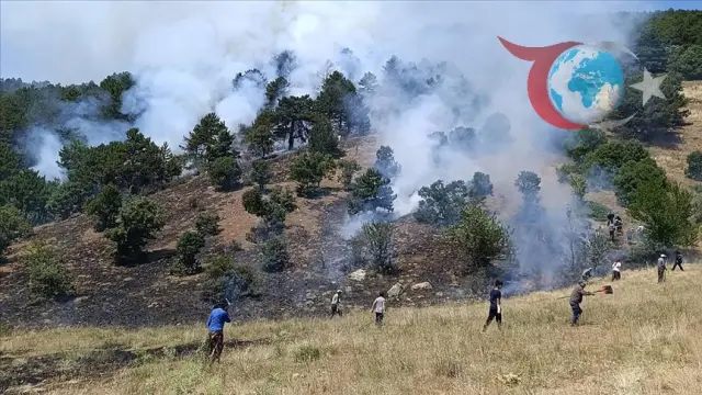 Konya Davras Mahallesi'nde Şaşkınlık Yaratan Orman Yangını
