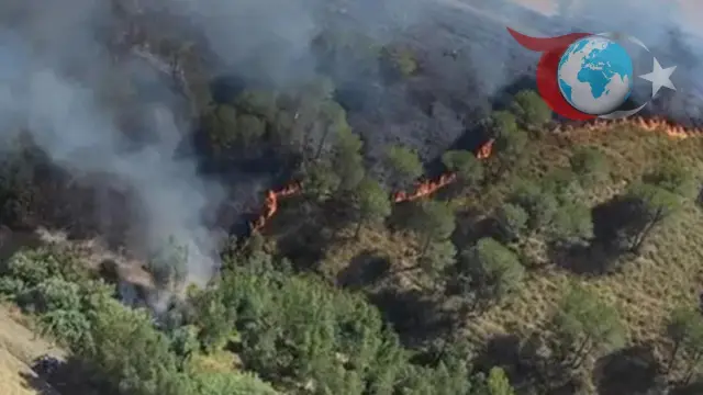 Sardinya Adası'nda Orman Yangınları Kontrol Altına Alınmaya Çalışılıyor