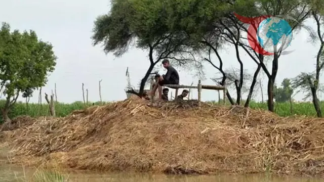 Pakistan'da Muson Yağmurlarının Sonuçları: Can Kaybı ve Yaralanmalar Artıyor