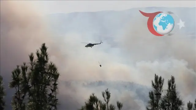 İstiklal Mahallesi Orman Yangını ile Mücadele Sürüyor