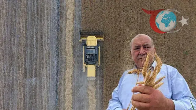 Kuraklık ve Donun Vurduğu Konya'da Tahıl Üretimi Düşüşte