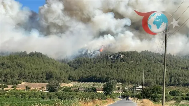 Sakarya’da Orman Yangını Kontrol Altına Alınmaya Çalışılıyor