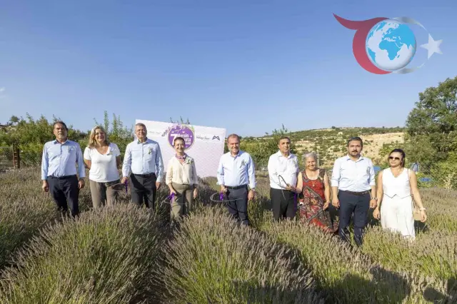 Mersin'de 7. Lavanta Hasat Şenliği: Doğanın ve Kültürün Buluşması
