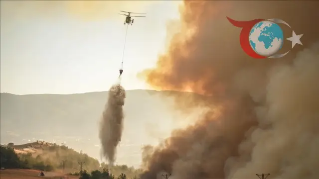 Osmaneli ve Seyitgazi'de Orman Yangınına Karşı Yoğun Mücadele
