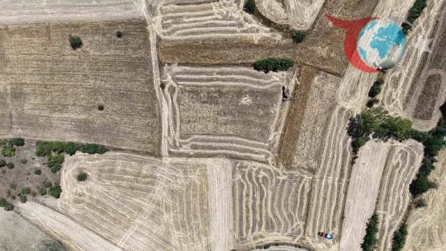 12 Bin Yıllık Tarihiyle Siyez Buğdayının Hasadı Başladı