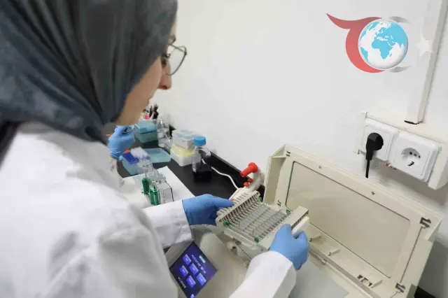 Bartın Üniversitesi'nden Kanser Araştırmalarına Yenilikçi Yaklaşım