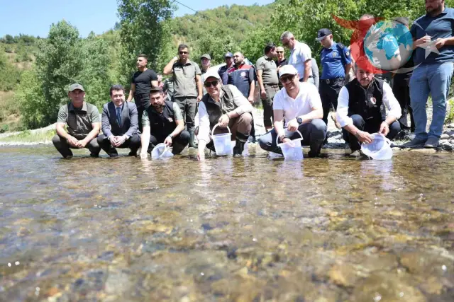 Düzce'de Doğal Yaşamı Canlandırma Çalışmaları: Alabalık ve Kukumav Kuşlarının Salınımı