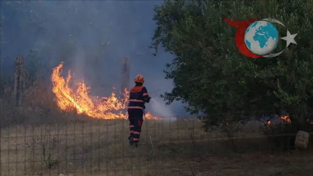 Sicilya'nın Batısında Orman Yangınları Kontrol Altına Alınamıyor