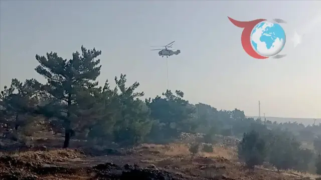 Mersin'de Orman Yangını: Ekipler Söndürme Çalışmalarını Sürdürüyor