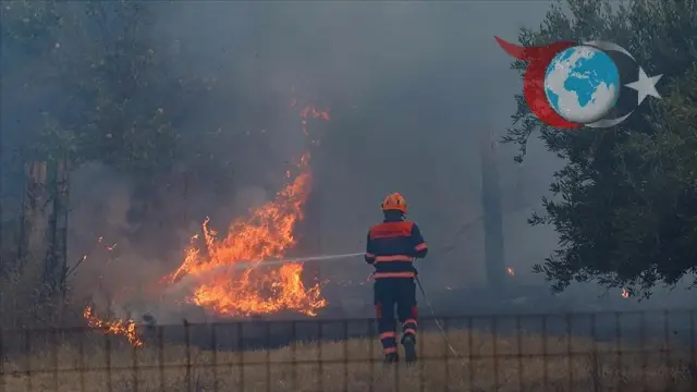Sicilya'nın Zingaro Milli Parkı'nda Yoğun Orman Yangını Alarmı