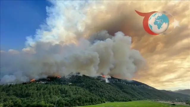 Orman Yangınlarına Karşı Devletin ve Halkın Mücadelesi