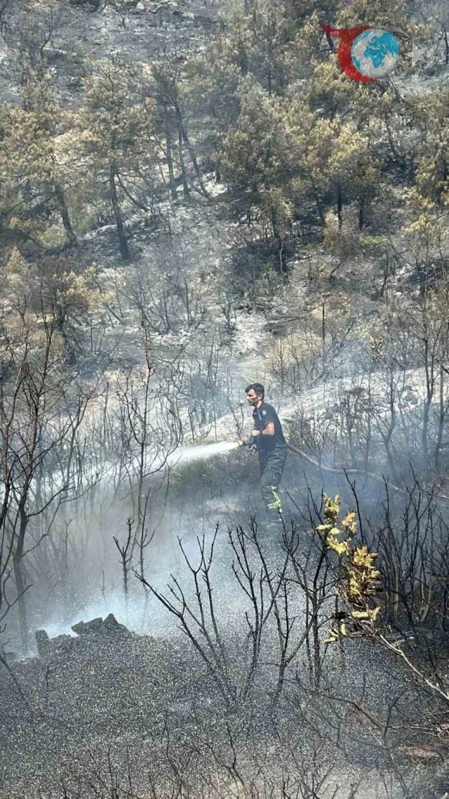 Kocaeli İtfaiyesi, Bursa'daki Orman Yangınına Destek için Harekete Geçti