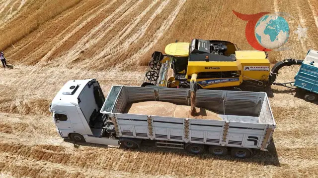 Bitlis'te Buğday ve Arpa Hasadı Ekonomiye Can Veriyor