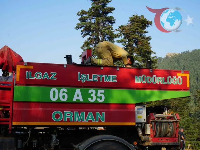 Çankırı Orman Yangınına Karşı Yoğun Mücadele Devam Ediyor