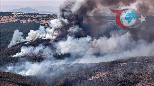 Orman Yangınları Sonrası Hasar Tespit Çalışmaları Hızla İlerliyor