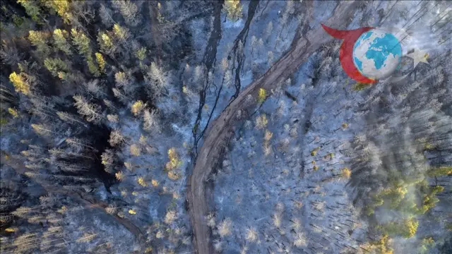 Koyun ve Keçilerle Orman Yangınlarına Doğal Çözüm