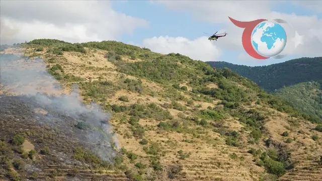 Tekirdağ Uçmakdere'de Korkutan Yangın: Müdahale Devam Ediyor