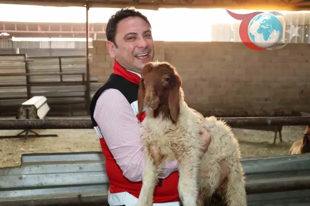 Haliliye'de Tarım ve Hayvancılıkta Islah Çalışmaları İvme Kazanıyor