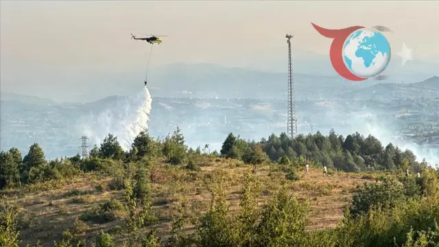 Köyde Orman Yangını: Ekiplerin Hızlı Müdahalesiyle Tehlike Kontrol Altına Alındı