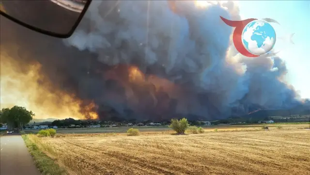 Ankara Yangınları: Binlerce Hektar Alanı Kül Eden Felaket