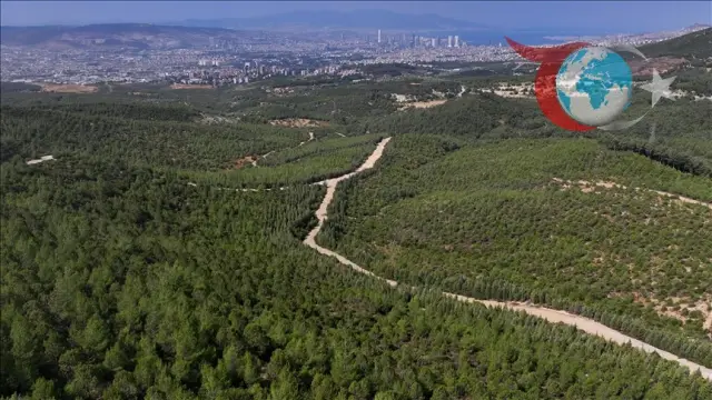 İzmir'in Yeşeren Umudu: Çiçekli Mahallesi'ndeki Yeniden Doğuş