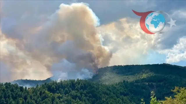 Karabük'te Orman Yangını Yeniden Alevlendi