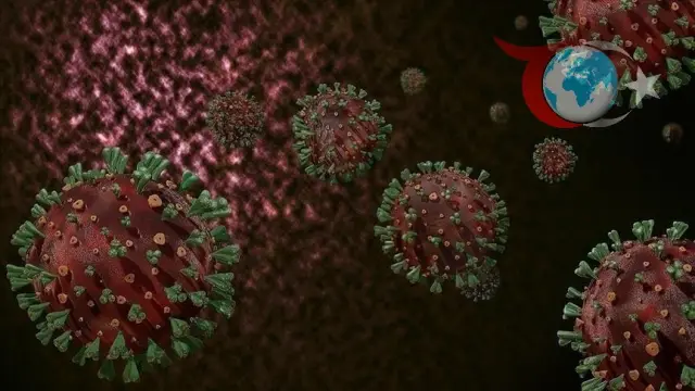 Mpox Virüsü: Küresel Tehdit ve DSÖ'nün Önlemleri