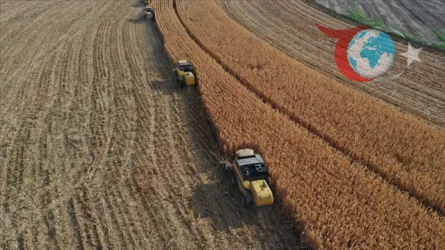 Tarımda Yılın İlk Yarısında Çiftçilere Büyük Destek: 89 Milyar Lira Ödeme Yapıldı