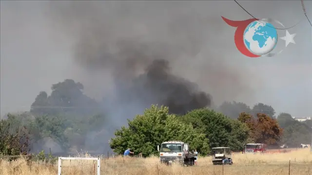 Kaliforniya ve Yunanistan’ı Kasırgaya Benzeten Orman Yangınları