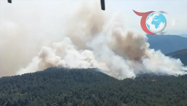 Sinop ve Aksaray'da Orman Yangınları İle Mücadele: İki Farklı Noktada Korkutan Yangınlar