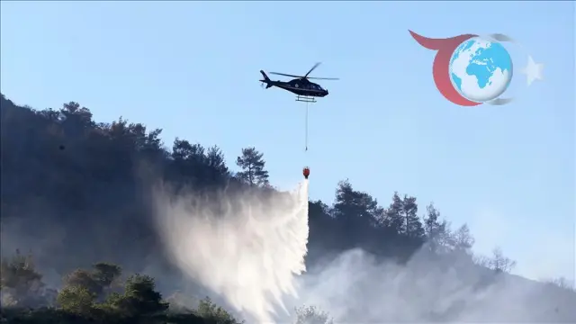 Türkiye Geneli Orman Yangınları Kontrol Altında: Yetkililerden Son Durum Bilgisi