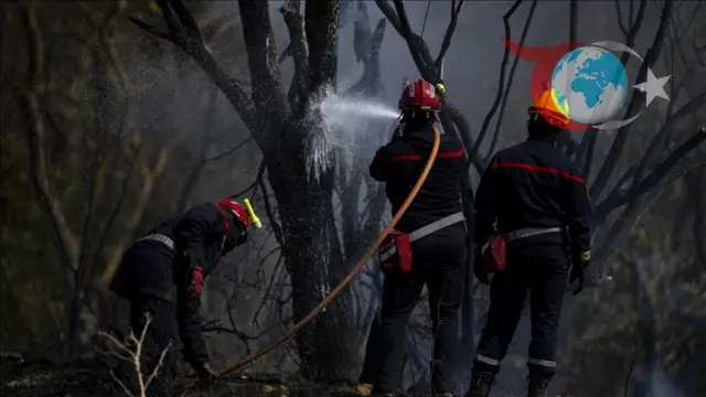 Fransa'nın Güneyindeki Orman Yangınları Tehdit Saçıyor