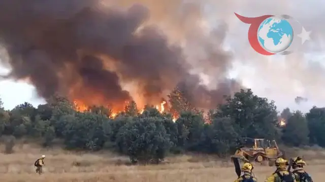 İspanya'da Orman Yangınları: Bir Can Kaybı ve Süregelen Mücadele