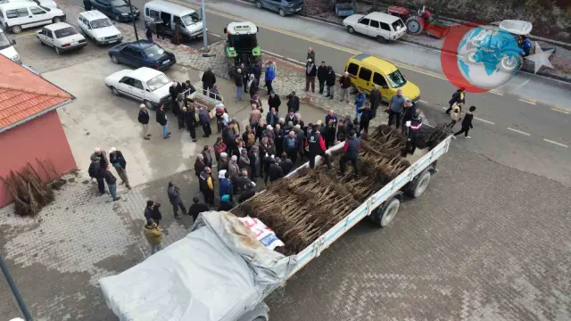 Ceviz Üretiminde Denizli'nin Zirve Yolu: 8 Yıllık Başarı Hikayesi