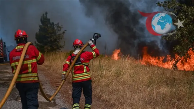 Aşırı Sıcaklar ve Orman Yangınları: İspanya ve Portekiz Alarmda