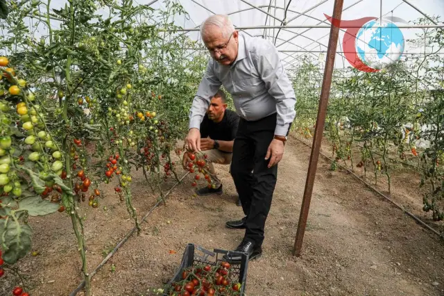 Van Büyükşehir Belediyesi'nden Ata Tohumlarıyla Gelen Lezzet
