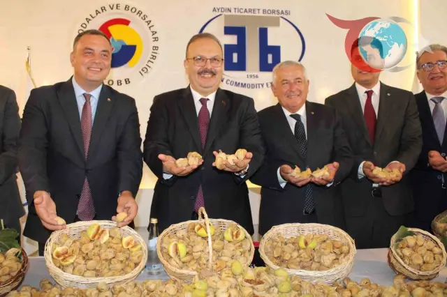 2024'te Aydın'da İncir Sezonu 800 TL Sembolik Fiyatla Açıldı
