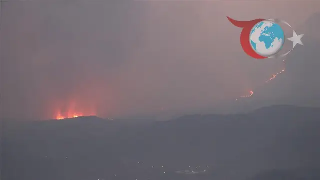 Suriye ve Türkiye’de Orman Yangınları Hız Kesmeden Devam Ediyor