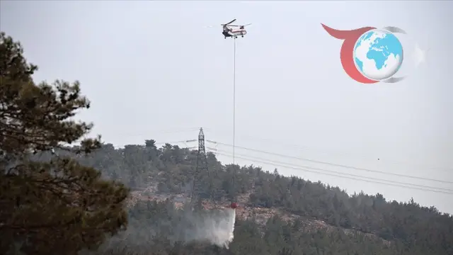 Silifke ve Anamur'da Orman Yangınlarıyla Mücadele Sürüyor
