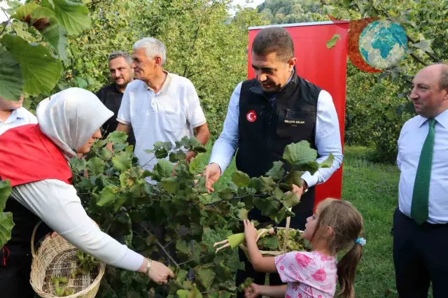 Düzce’de Fındık Hasat Şenliği Coşkuyla Başladı