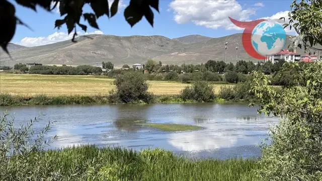 Ardahan'da Kura Nehri'nin Su Seviyesi Tehlikeli Boyutlara Ulaştı