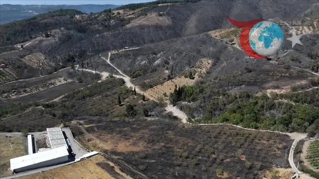 Kocaeli'deki Orman Yangınının Son Durumu: Havadan Görüntüler ve Müdahale Çalışmaları
