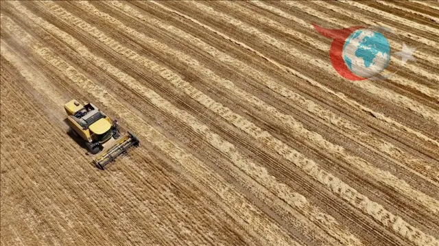Türkiye Tarım Sektöründe Geniş Kapsamlı Sayım Devam Ediyor