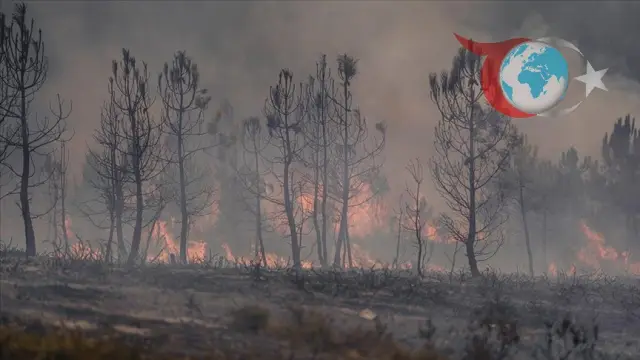 İspanya ve Portekiz'de Orman Yangınları Mücadelesi: Yeni Can Kaybı ve Devam Eden Tehlike