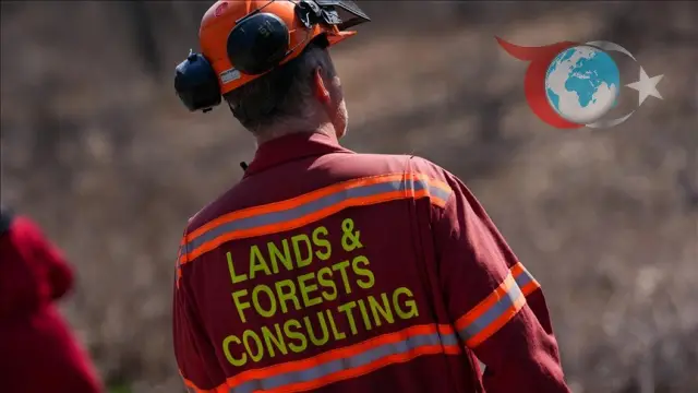 Manitoba'da Whiteshell Eyalet Parkı'nda Olağanüstü Hal İlan Edildi