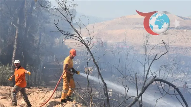 Antalya'da Orman Yangınlarıyla Mücadelede Yeni Stratejiler Geliştiriliyor